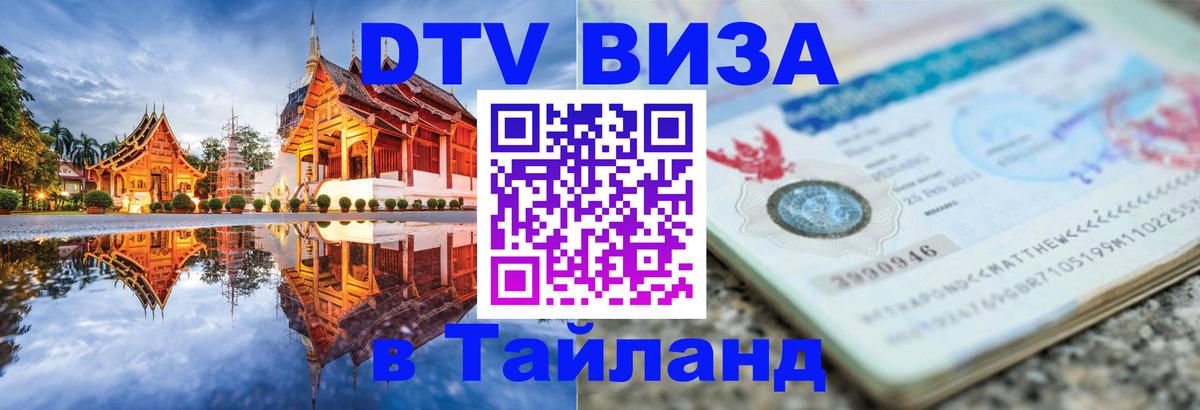 Оформление DTV визы под ключ: стоимость и тарифы, только загранпаспорт - Новочебоксарск  21.11.2025 